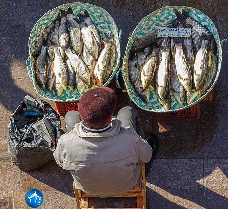 ماهی چوب زدن در فستیوال بزرگ بازارمج رضوانشهر