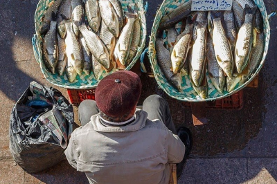 ماهی چوب زدن در فستیوال بزرگ بازارمج رضوانشهر